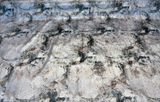 Untamed Chic Canyon Polyester Fabric - Silver Metallic Abstract, 54" Width (1 Yard)