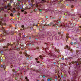 Stretch Mesh Sequin Fabric