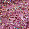 Stretch Mesh Sequin Fabric