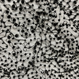 Beaded Lace Mesh Black