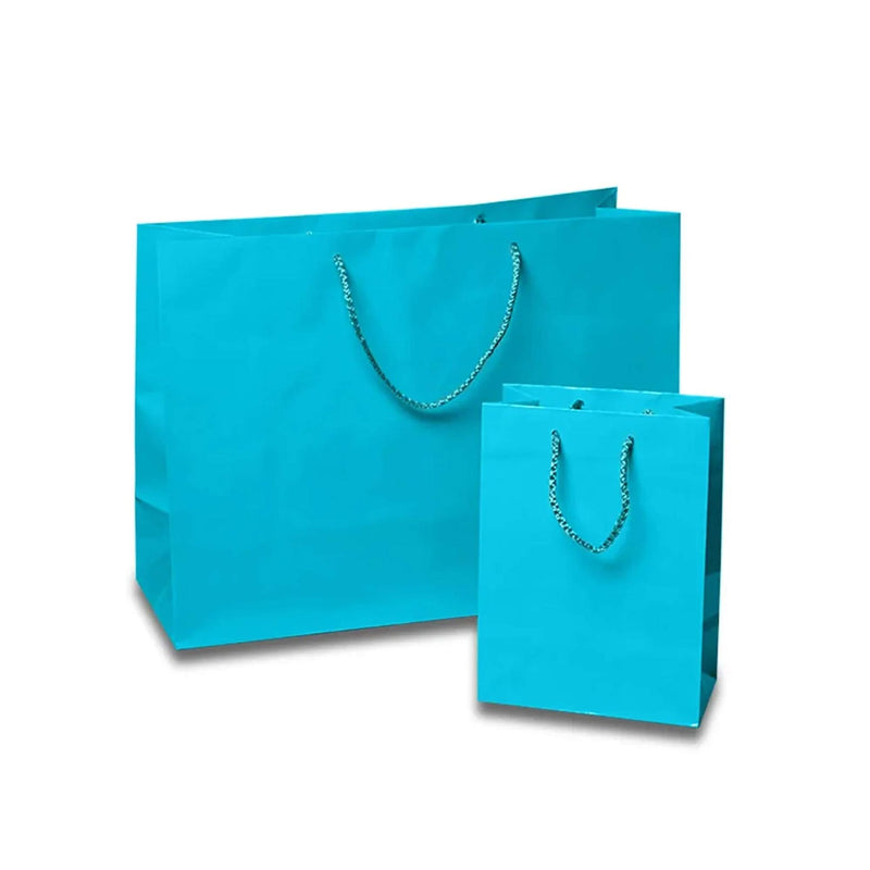 Vivid Glossy Paper Bags 8'' x 4'' x 10'' for Gift Presentation