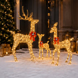 3 Piece Lighted Reindeer Set Christmas Yard Decor LED