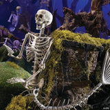 6 Ft. Life-Size Original Plastic Mermaid Skeleton Halloween Decoration