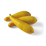Radyan Fresh Yellow Squash