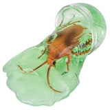 Pest Putty Egg (1 DZ)