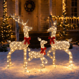 3-Piece Lighted Reindeer Family Outdoor Christmas Set
