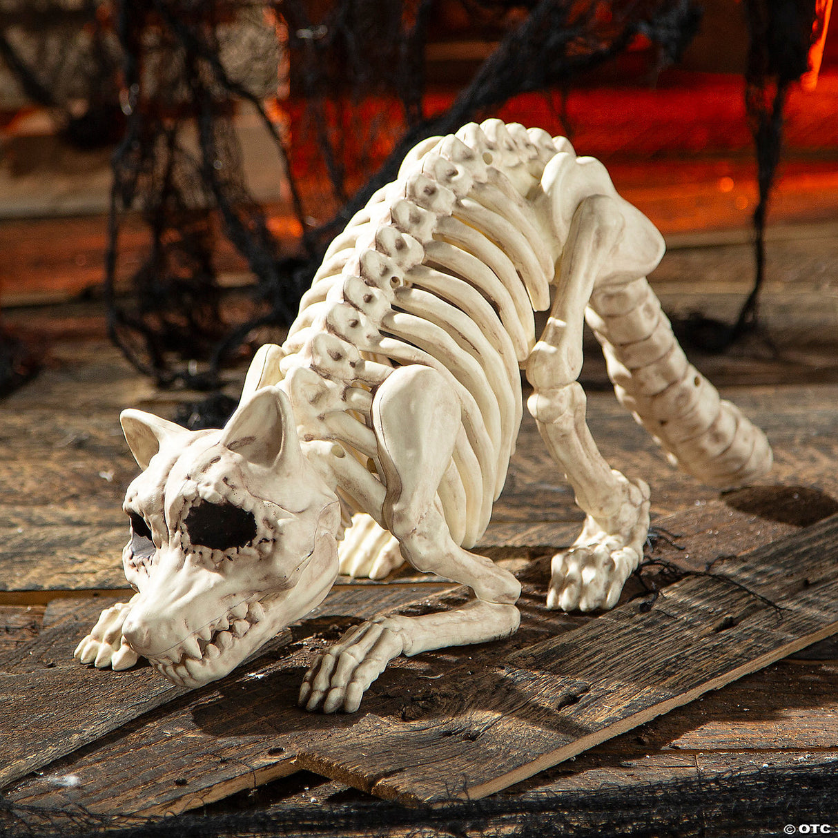 7 3/4" Raccoon Skeleton Plastic Outdoor Halloween Decoration