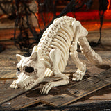 7 3/4" Raccoon Skeleton Plastic Outdoor Halloween Decoration