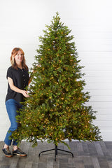 7.5' Southern Fir Tree 1400 LED Lights