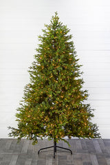 7.5' Southern Fir Tree 1400 LED Lights