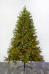 7.5' Southern Fir with 1400 3mm Lights