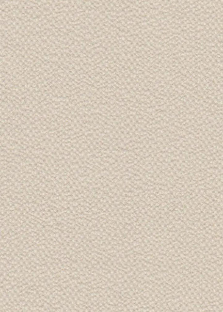 Solid Ghost Bubble Crepe Fabric, Lightweight Textured Stretch 57/58" Wide for Apparel