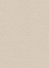 Solid Ghost Bubble Crepe Fabric, Lightweight Textured Stretch 57/58" Wide for Apparel