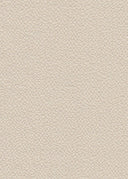 Ghost Crepe Bubble Woven Fabric