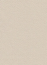 Ghost Crepe Bubble Woven Fabric