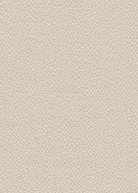 Ghost Crepe Bubble Woven Fabric