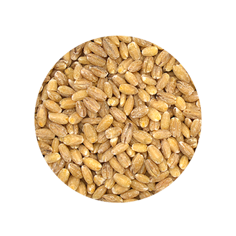 Bulk Foods - Pearl Barley - Bulk Bin 1642 (25 pounds)
