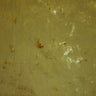 Crushed Velvet Upholstery & Drapery Fabric