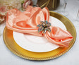 Heavy Duty Satin Dinner Napkin Sample 20x20 Apricot/Peach