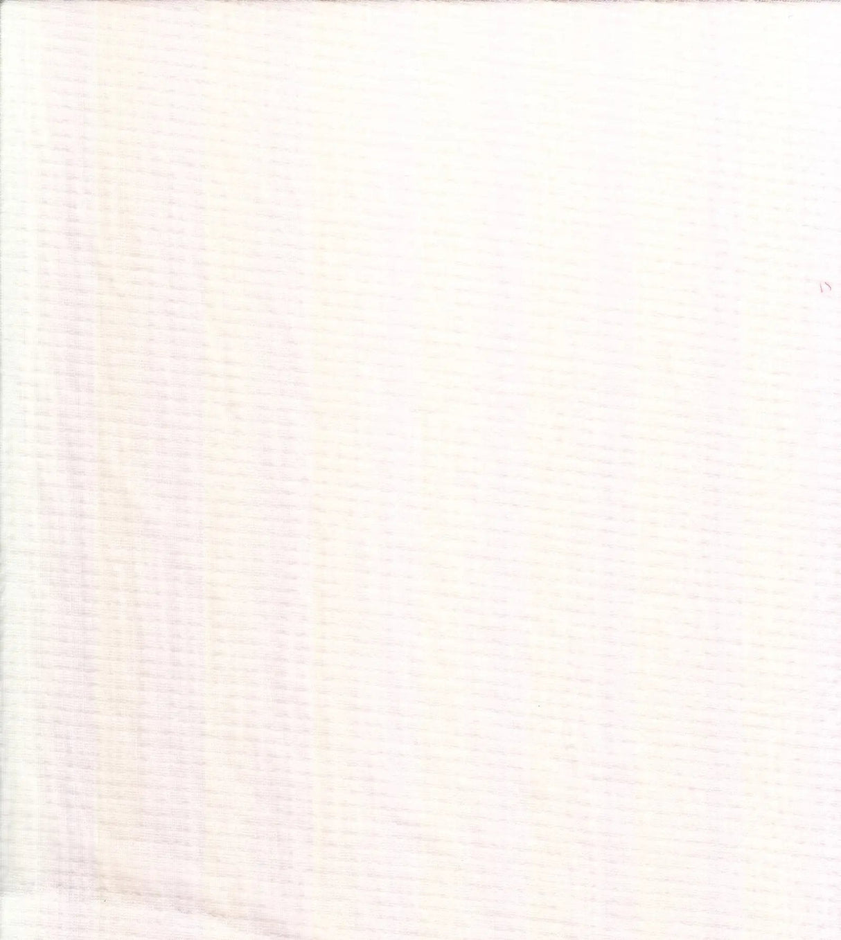 Spun Poly Span Knit Gauze Solid Fabric 1 Yard White Soft Lightweight 52/54" Wide