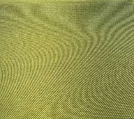 Sunbrella Mills Solution Dyed Acrylic Fabric - Kiwi Green Solid, 54" Width (1 Yard)