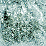 Edible Glitter - 4 oz Jar