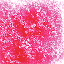 Edible Glitter - 4 oz Jar