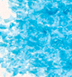 Edible Glitter - 4 oz Jar
