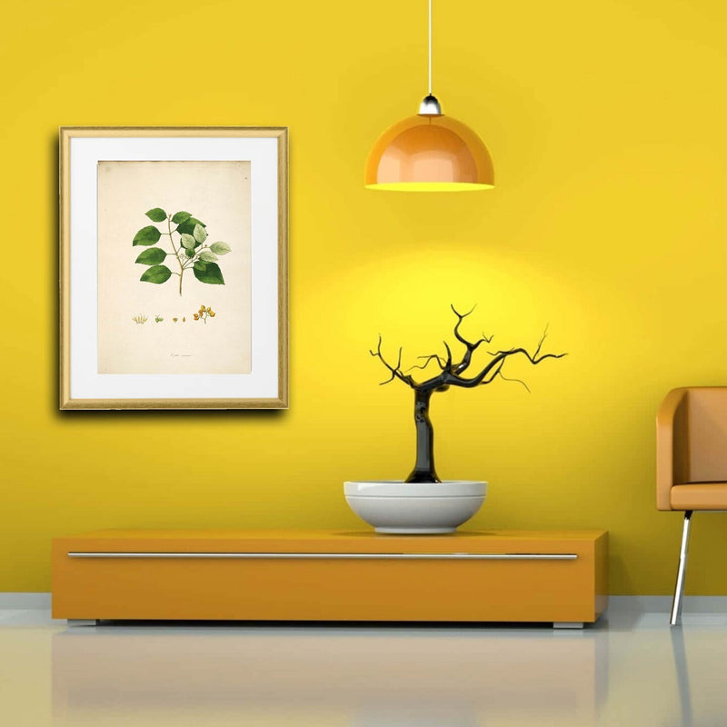 Gold Frame with Mount, 16x20" – Easy No-Nail Hanging, Horizontal or Vertical!