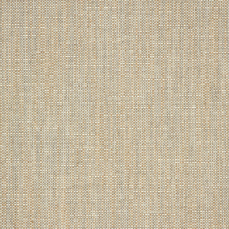 Rochelle Pebble Solution Dyed Acrylic Fabric - Beige Gray Textured, 54" Width (By The Yard)