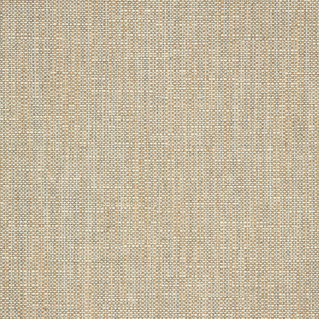 Rochelle Pebble Solution Dyed Acrylic Fabric - Beige Gray Textured, 54" Width (By The Yard)