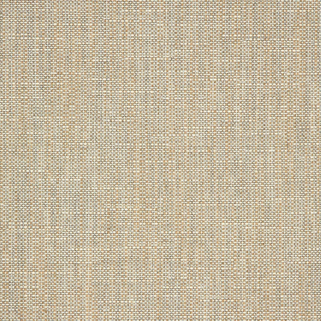 Rochelle Pebble Solution Dyed Acrylic Fabric - Beige Gray Textured, 54" Width (By The Yard)