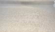 Belgian Linen Sheer Fabric - Sand Solid, 59" Width (By The Yard)