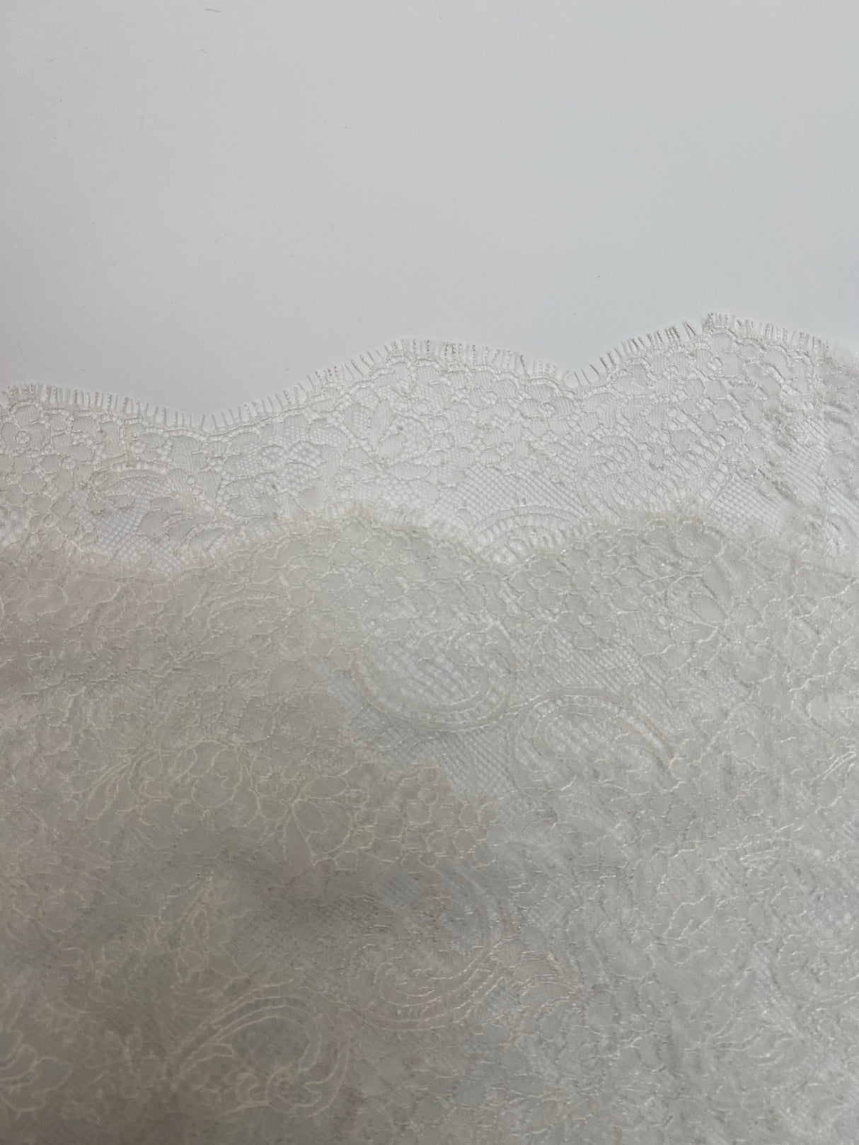 White Shade Floral Lace Polyamide Viscose