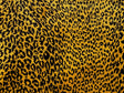 Exotic Leopard Jacquard Velvet Fabric - Black Gold Leopard Print, 56" Width (1 Yard)