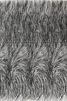 Shell Glitter Design Mesh Lace Fabric - Glitter Shell Pattern, 54" Width (1 Yard)