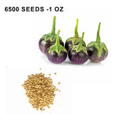 Round Purple Eggplant Seeds Thai Baby Eggplant Indian Eggplant Seeds Non GMO Organic Treevales