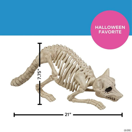 Raccoon Skeleton Plastic Outdoor Halloween Decoration for Yard, showing a detailed skeletal bone design