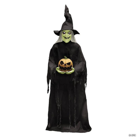 RADYAN Animated Witch Halloween Yard Decoration with Light-Up Glowing Eyes shown in a clear product image