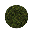 Bulk Foods - Dill Weed - Bulk Bin 1674 (5 pounds)