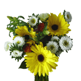 Delight Fresh Flower Bouquets Bulk Floral Pack for Events & Gifts
