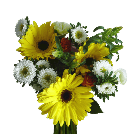 Delight Fresh Flower Bouquets Bulk Floral Pack for Events & Gifts
