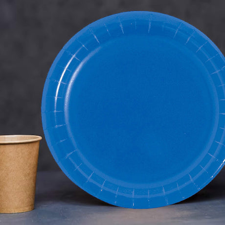 24 Count Blue Paper Dessert Plates for Party Wedding Birthday 7"