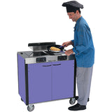 Lakeside Creation Express Mobile Induction Cooking Station w/Filter - 2 Stove