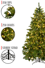 Prelit Calgary Spruce Christmas Tree with Warm White Lights
