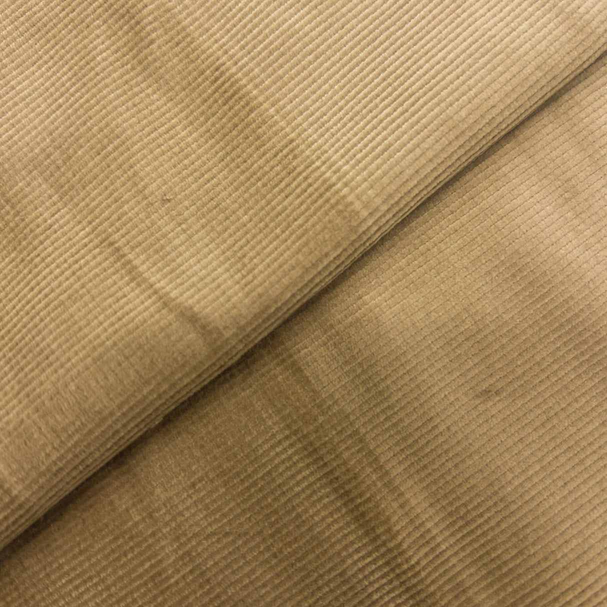 Tan Corduroy Cotton Lycra Fabric - Tan, Corduroy, 60" Width