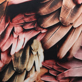 BZ Digital Flip Polyester Spandex Fabric - Multi-Color Peacock Feather Brazilian Print, 60" Width (1 Yard)