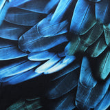 BZ Digital Flip Polyester Spandex Fabric - Multi-Color Peacock Feather Brazilian Print, 60" Width (1 Yard)