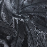 BZ Digital Flip Polyester Spandex Fabric - Multi-Color Peacock Feather Brazilian Print, 60" Width (1 Yard)