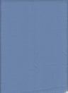 Ghost Crepe Bubble Woven Fabric